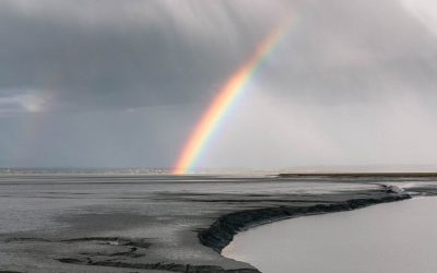 Nooan arkki gnostisessa valossa