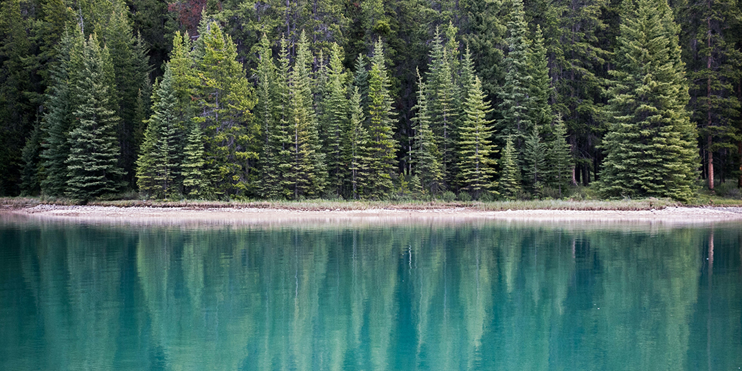 Kaksi elämänkenttää. Matka sisimpään -tutustumispaketin osaan 3 pohjautuva online-keskustelu. Kuva: Joshua Reddekopp, Unsplash